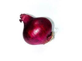 Red Onion. Whole red onion, isolated on white background photo