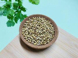 Coriander seeds in a bowl on a wooden cutting board. Green fresh cilantro. The cilantro is bright green and has serrated leaves. Fresh vegetables on blue background. Selected Focused photo