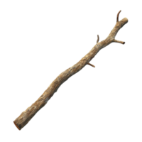 Stick with No Leaves on Transparent Background AI-Generative png