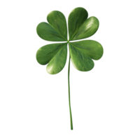 Leaf Clover on Transparent Background AI-Generative png