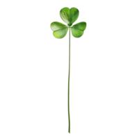 Green Leaf Clover on Transparent Background AI-Generative png