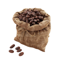 Peeled Cocoa Beans in Sack on Transparent Background AI-Generative png