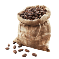 Coffee Beans in a Sack on Transparent Background AI-Generative png