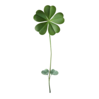 Leaf Clover Plant on Transparent Background AI-Generative png