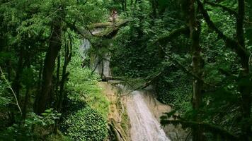 Stunning view of the waterfall in jungles. Creative. Green trees and waterfall on a summer day. video