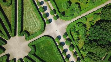 Top view of geometric patterns of old garden. Creative. Beautiful garden with smooth paths and green lawn. Geometric patterns in garden at manor or palace video