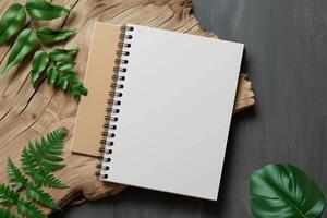 two notebooks, one on an oak log and one next to a tree root, photo