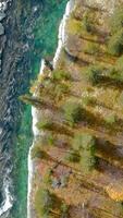 Top down view of a turquoise river in the wild area. Clip. Bird eye view of an autumn national park with trees and a flowing river. video