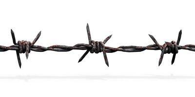 very sharp nails mounted together and against the barbed wire, photo