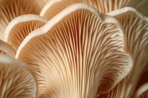 close up of mushrooms at an indoor forest house, photo