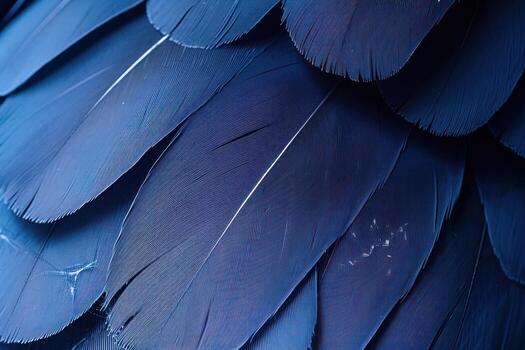 a close up photo shows feathers and feather floss,