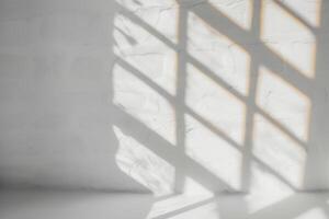 white wall and shadows on the floor in front of it, photo