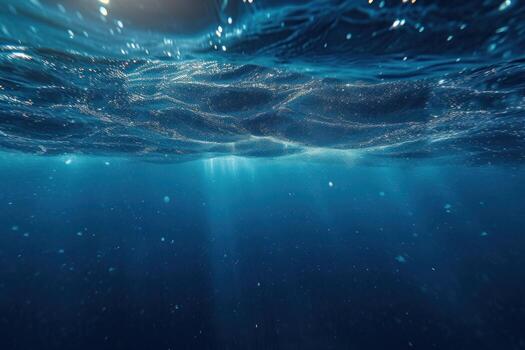 the bottom surface of an underwater area, photo