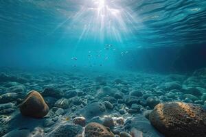 a large area full of sea level pebbles, photo