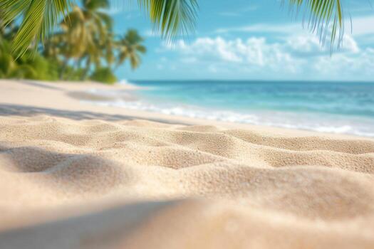 blurry beach with palm trees on right side, photo