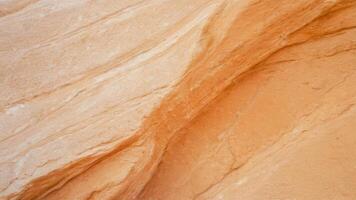 a small bluebird sits among jagged, thin rocks, photo