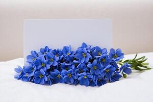 several blue flowered stems gathered around a blank card, photo