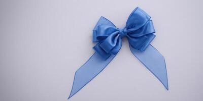 a light blue large bow on a white surface, photo
