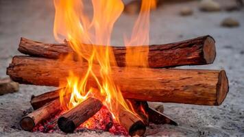 firewood and logs burning in a gravel field, photo