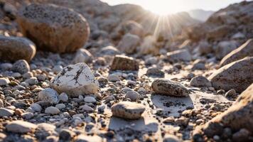some rocky ground with rocks and bushes in it, photo