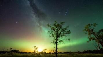 a full moon and stars above an aurora bore with green swirling, photo