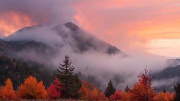 misty fall over trees covered in fog and haze, photo