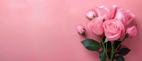 bunch of pink roses with budding and green leaves against a pastel coloured background, photo
