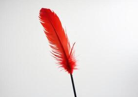 a red ostrich and an inverted long black stalk, photo
