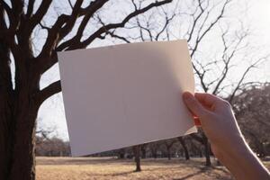 someone holds up two square pieces of paper and trees in the background, photo