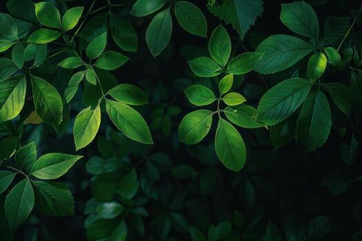 el hojas y ramas proporcionar un verde fondo, foto