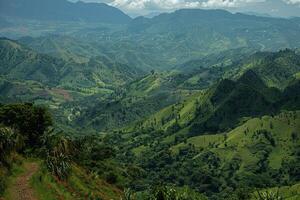 the view is down on steep valley hills and palm trees, photo