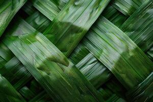 a close up picture of the ure of grass, photo