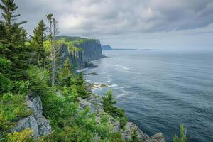 an ocean cliff with trees and rocks on it, photo