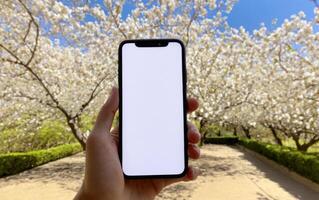 a person is holding up their cell phone in this image, photo