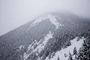 snow covered mountain on a foggy day near some trees, photo