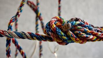 multi - colored rope is around a small animal, photo