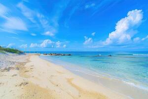 beach chairs sitting on the shoreline of the ocean, photo