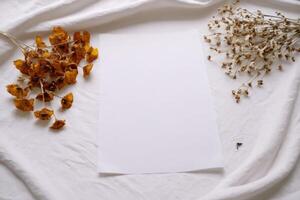 dried plants against white sheets with sheet on bed, photo