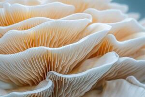 a close - up and distorted picture of some funguses, photo