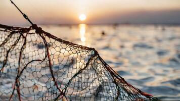 fishing net and poles on the water during sunset, photo