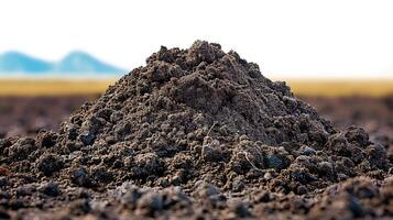 a pile of dirt sits in the middle of the field, photo