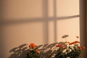the shadow on the wall from a window shows bright flowers, photo