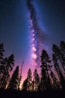 the milky is visible behind a cluster of trees, photo