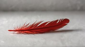 a red feather laying on top of a white counter, photo