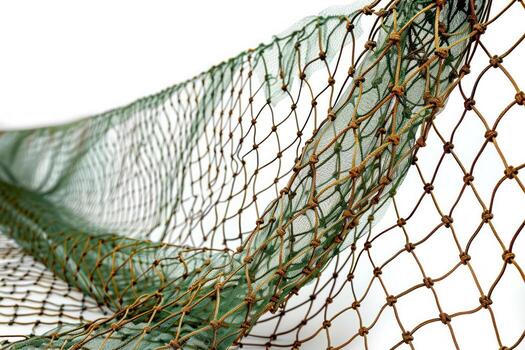 a small piece of fishing netting on top of green netting, photo