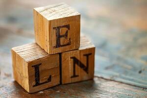 wood letters stacked on top of bricks spelling the word'lin ', photo