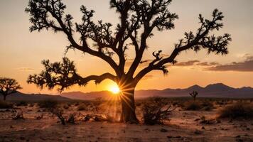 an empty desert scene with the sun setting, photo