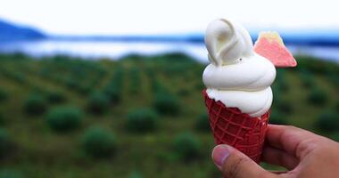 A soft ice cream with hand behind the garden and lake video