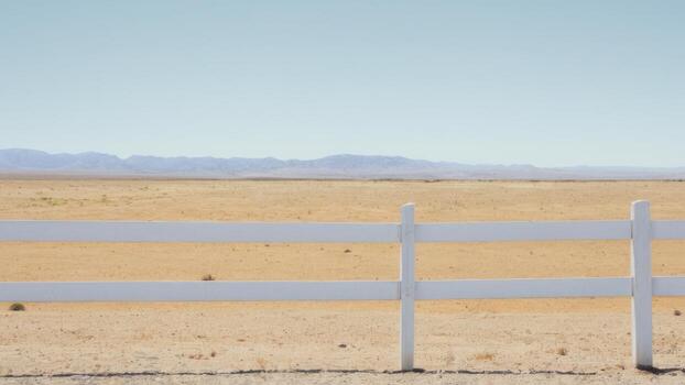an image of a horse in the open field, photo