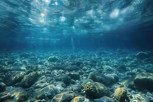 the rocks under the water have fish swimming there, photo